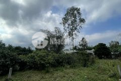 Cần bán lô đất vườn thôn phú thượng xã hoà sơn.hoà vang.đà nẵng