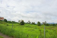 Bán 500m2 đất cực đẹp tại đường lê thị riêng, lộc châu, shr, 2.350 tỷ. lh0935083778.