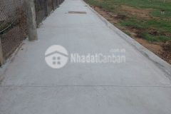 Cần tìm hàng xóm tại khu dân cư xã mỹ phong, tp. mỹ tho