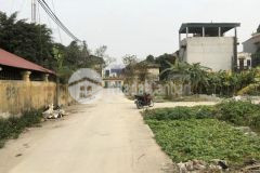 Đấu giá lạc hồng, ngay gần vành đai 4, cực đẹp, giá chỉ nhỉnh 2 tỷ lh 0835459289