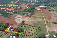 Bán 4,3 hecta xã láng lớn châu đức