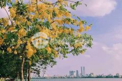 Bán nhà phố nhật chiêu thông lạc long quân sát hồ tây oto tránh 104m2 giá đầu tư