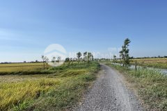 Bán 1,5 công đất ruộng gần biển rạch bùn, tân điền, gò công đông, tiền giang