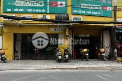 Ban nha măt tiên đương lâm văn bên gia tôt