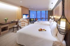 Bán khách sạn view biển trực diện mặt tiền đường trần phú, f5, tp vũng tàu