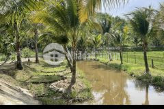 Cần bán lô đất vườn xã hoà nhơn.huyện hoà vang.đà nẵng