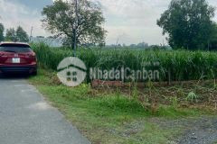 Bán lô đất 94 m2 tại tân thạnh đông củ chi giá 680tr hổ trợ ngân hàng