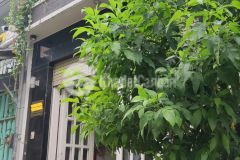 Nhà 2 tầng đẹp khu dân cư khang trang hẻm rộng đậu oto, 48m2 4x12 sổ đẹp ko quy hoạch, ql 1a