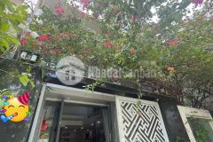 Nhà hẻm xe hơi, 62m2, 5 lầu, bình thạnh, giá 11.5 tỷ.