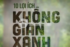 10 lợi ích của không gian xanh tại elysian