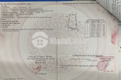Chính chủ bán lỗ 1500m2 đường nguyễn thị rành, xã nhuận đức, củ chi