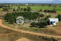 1ha 2 mặt tiền đường ngay ql1a săn nhà cấp 4 tặng vườn mít thái gía đầu tư f0