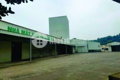 Chuyển nhượng nhà máy sx thức ăn chăn nuôi tại hòa bình