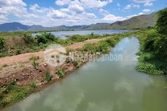 Đất bình thuận lưng tựa núi, mặt hướng sông, 5.000m2, 950 triệu