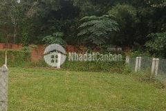 Bán gấp lô đất 260 mét có 100 mét thổ cư giá 215 triệu