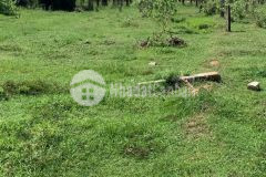 Chỉ 400tr sở hữu ngay cho mình lô đất 625m2