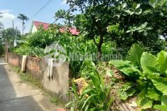 Bán nhanh đất cực đẹp, đình dù, đường rộng thoáng, giá tốt lh 0835459289