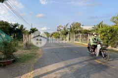 Bán 4,2 công đất giá 290tr tại tân thành, gò công đông, tiền giang