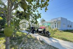 Bán đất tx gò công chỉ 480 triệu