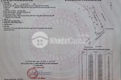 Lô 2,5ha đất nông nghiệp ở bình khánh, cần giờ