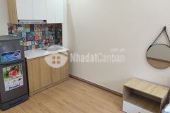 Bán nhà 14 ngõ 9836 đào tấn 50 triệutháng với 9 phòng full đồ dt 40m5 tầng6.6 tỷ