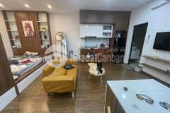 Hot đường bưởi,ô tô đỗ cửa, thang máy,45m2 x 6 tầng,giá 10,5 tỷ