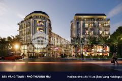 Bán nhà phố thương mại sen vàng town đẳng cấp duy nhất tại bình chánh.