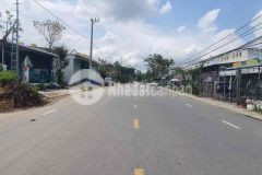 Bán đất tặng nhà cấp 4 mặt tiền đường trần cao vân nối dài 194m2 1,x tỷ