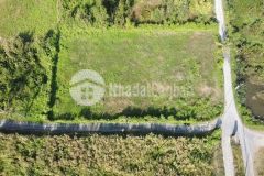 Bán 1469m đất 2mt tại tp thủ đức, xây biệt thự vườn, quy hoạch ra 3mt. lh0966334433