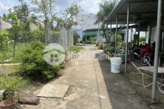 Bán đất ngay chợ xã lới, cách ql50 chỉ 70m, tx gò công, tiền giang