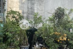 Bán 40m2 thổ cư huyện nhà bè, đồng sở hữu, 1.6 tỷ. lh0986206626.