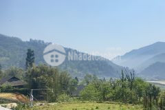 Mảnh đất full thổ cư siêu hiếm ở tả phìn