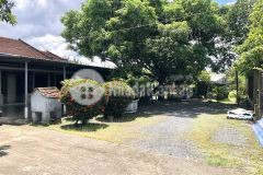 Bán nhà vườn khuôn viên 1500m2, nguyễn thị thử gần cv sinh thái hóc môn, chỉ 13.7 tỷ.