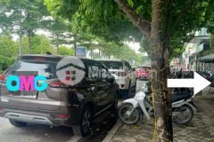 Mặt phố vip trần vỹ cầu giấy 60m 3 tầng mặt tiền 6m mặt phố vỉa hè 6m ôtô dừng đỗ kd doanh thu.