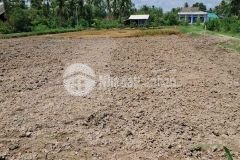 250tr bán đất thổ vườn, đường ôtô tại tân phú, tân phú đông, tiền giang