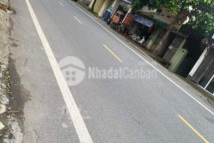 Đẹp hiếm đìa nam hồng đông anh