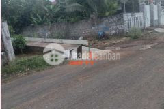 Mặt tiền giã tượng 528 thổ cư 40m, thực tế 539