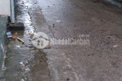 Xóm đoài nam hồng đông anh