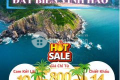 Đất biển bình thuận cam kết lợi nhuận 10năm giá chỉ 800triệu