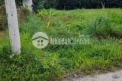 Bán gấp lô đất 245 m2 có 100 m2 thổ cư giá 180 triệu