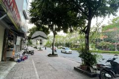 Siêu phẩm đất mặt phố cổ linh, vỉa hè đá bóng, kd mọi loại hình 120m2 mặt tiền gần 6m