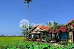 Bán 2139m2 đất view đồng lúa cực chill sát đường nhựa, gần ubnd huyện hòa vang