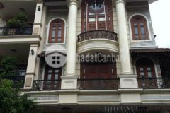 Cho thuê biệt thự mới đẹp 8x20m khu phan xích long phường 2 phú nhuận