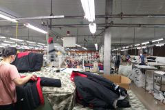 Chuyển nhượng 100 cổ phần cty may xk tại tỉnh thái bình