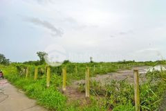 Cần tiền bán gấp lô đât vườn 1600m2 xã bình khánh huyên cần giờ.