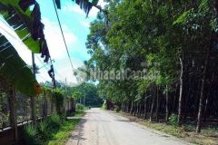 Bán đất 1 sẹt đường đt 741 xã vĩnh hòa 1000m2 giá 570 triệu phù hợp buôn bán kinh doanh