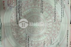 Nhà cần tiền bán nhanh vườn trái cây, nhãn và các loại giá 650triệu