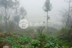 Bán mảnh đất có diện tích khoảng 400m2 view ruộng bậc thang và núi đá của tả phìn