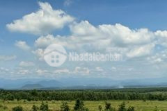 Bán 8271m2 đất sào hoà thắng cách liên huyện 90m tặng vườn tràm giá 75km2 lh 0938677909 xem sổ