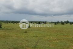 Bán 4743m2 đất vườn hoà thắng, sổ vuông mặt tiền 60m giá 450tr, cách liên huyện 200m lh 0938677909